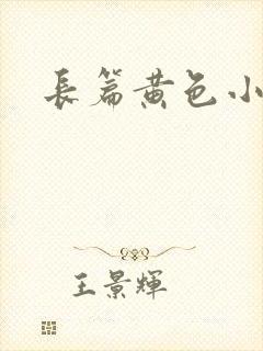长篇黄色小说封面