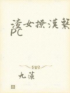 渣女撩汉系统NPC