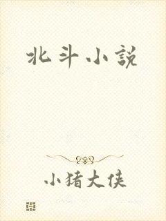 北斗小说