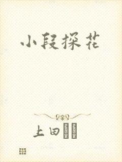 小段探花
