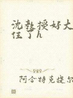 沈教授好大含不住了h