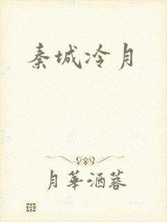秦城冷月封面