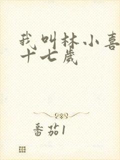 我叫林小喜今年十七岁