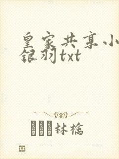 皇家共享小公主银羽txt