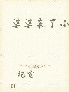 婆婆来了小说