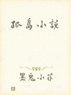 孤岛小说