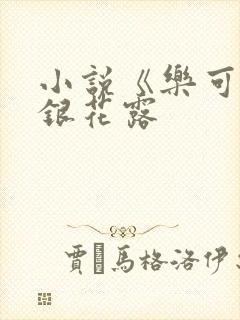 小说《乐可》金银花露封面