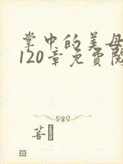掌中的美母版主120章免费阅读
