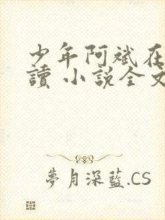 少年阿斌在线阅读 小说全文免费