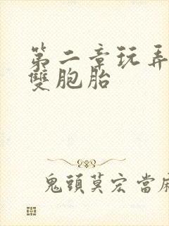 第二章玩弄少妇双胞胎封面