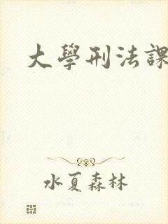 大学刑法课