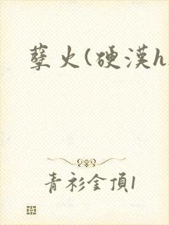 孽火(硬汉h)