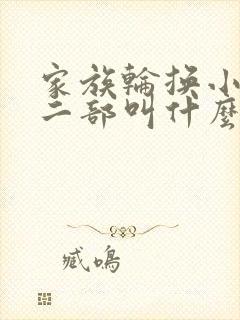 家族轮换小说第二部叫什么名字