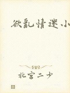 欲乱情迷小说