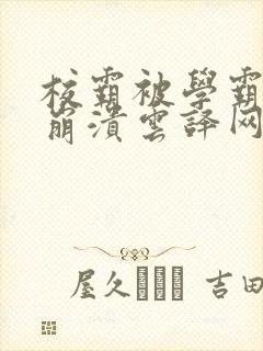 校霸被学霸玩到崩溃云译网封面