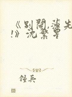 《别闹,薄先生!》沈繁星封面