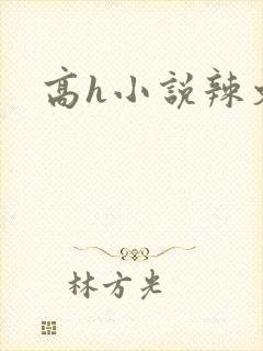 高h小说辣文