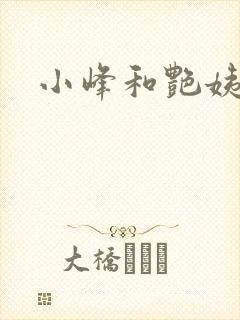 小峰和艳姨封面