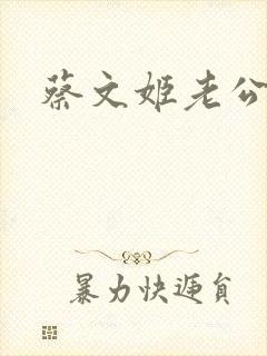 蔡文姬老公
