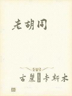 老胡同