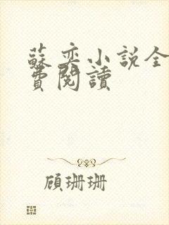 苏奕小说全文免费阅读