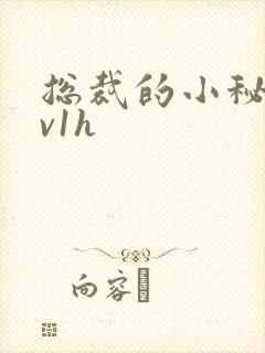 总裁的小秘书1v1h