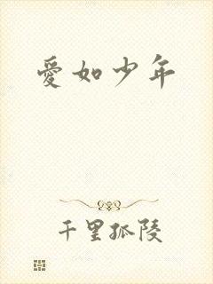爱如少年
