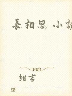 长相思 小说