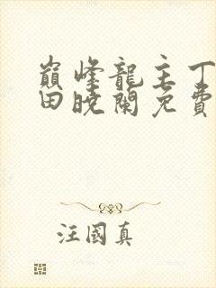 巅峰龙主丁长顺田晓兰免费阅读