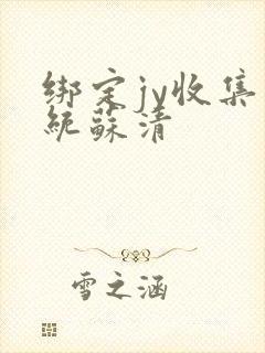 绑定jy收集系统苏清封面