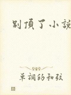 别顶了小说