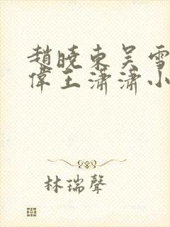 赵晓东吴雪晴郑伟王潇潇小说名字