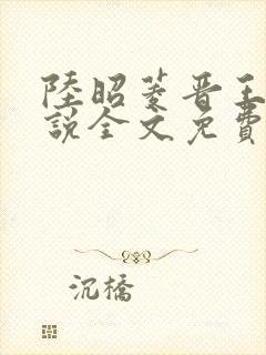 陆昭菱晋王的小说全文免费阅读