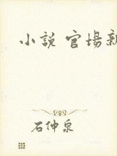 小说 官场新贵封面