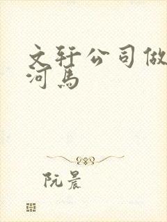 文轩公司做扩张河马封面