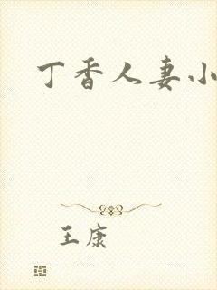 丁香人妻小说封面