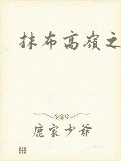 抹布高岭之花