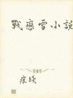 战恋雪小说封面