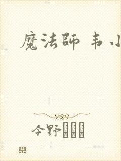 魔法师 韦小宝