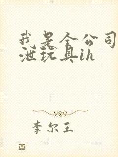 我是全公司的发泄玩具ih