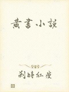 黄书小说封面