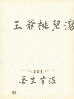 王爷桃儿泻了封面