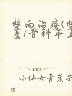 双向治疗(双/产/骨科年上)