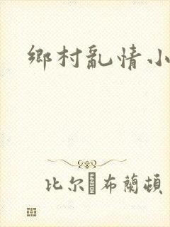 乡村乱情小说