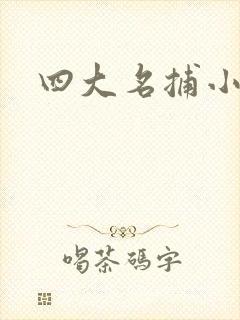 四大名捕小说