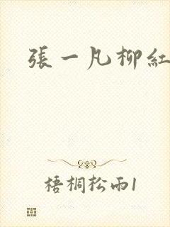 张一凡柳红