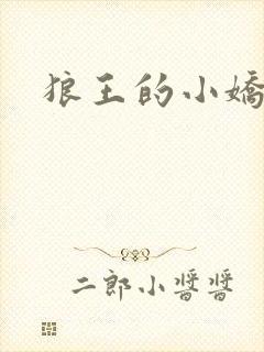 狼王的小娇妻