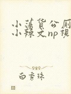 小荡货公厕h文小辣文np视频