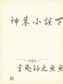 神墓小说下载