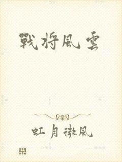 战将风云封面